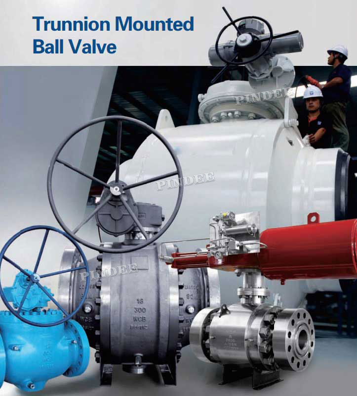 Top Entry Trunnion Mounted Ball Valve Buy Top Entry Trunnion Mounted